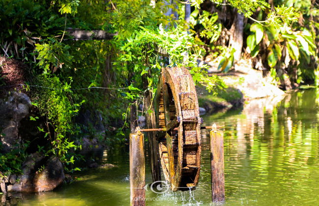 Sítio Morada do Pai - Foto 49