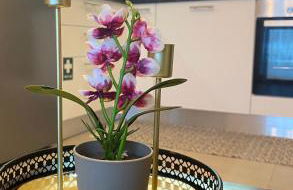 Eva's Sweet Home - Foto 20