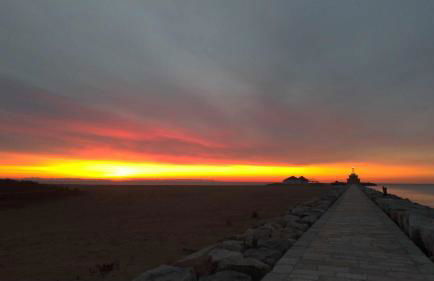 VILLA MAGNOLIA - Photo 34