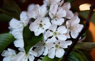 Oberhabererhof - Photo 15