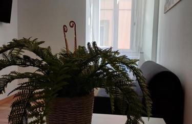 Monica's home - Foto 10