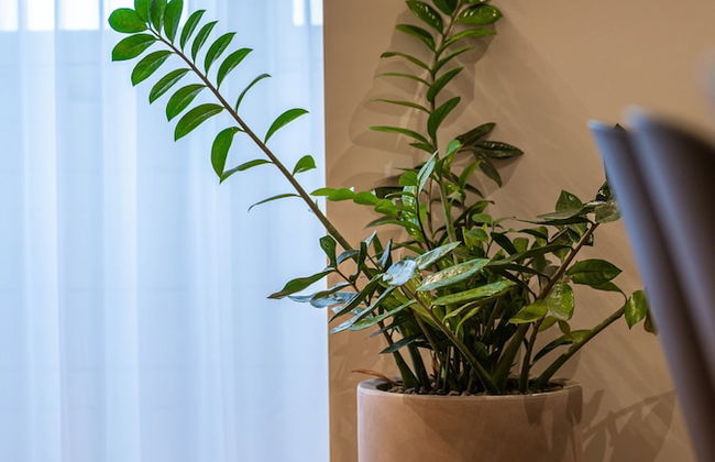 Trabuxu Boutique Living - Foto 43