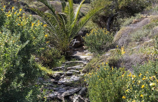 Aegean View Seaside Apartment Syros - Foto 36
