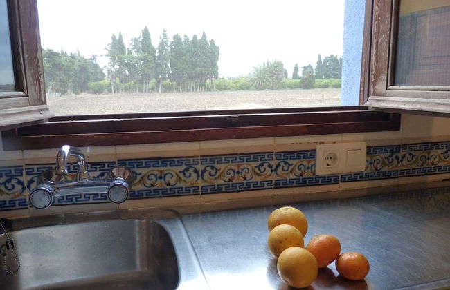 Mas De Bernis 1888 - Photo 12