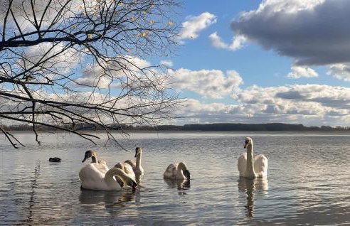 3 Bedroom Gorgeous Home In Morzyczyn - Foto 18