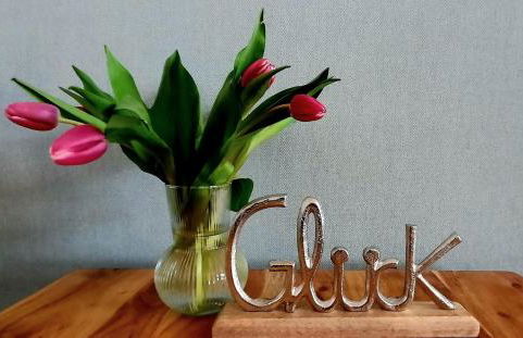 Hafenglück - Foto 19