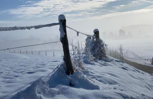 Ferienwohnung Auszeit im Pfaffenwinkel - Wessobrunn - Foto 20