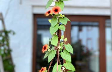 Ferienwohnung Burg Hausen - Foto 45