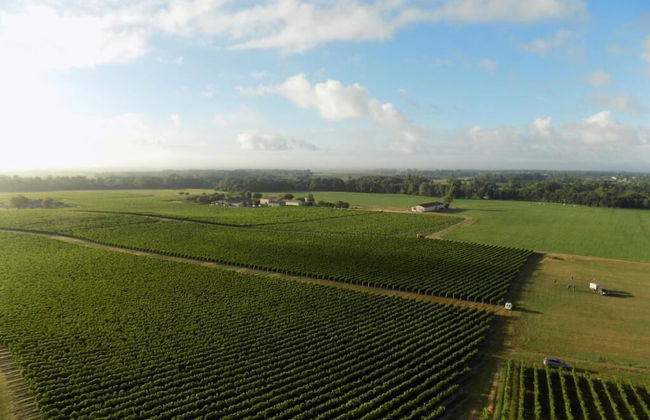 Château Pierre de Montignac - Foto 28