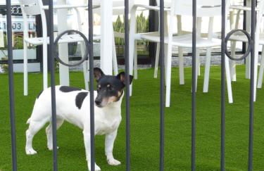 Villa Alto Arena piscina privada climatizada - Foto 6