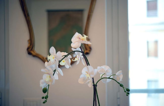 Homethic Piramide in Rome - Foto 1