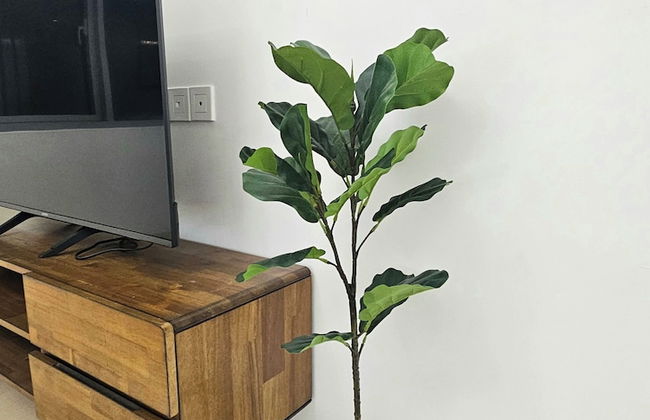 The Infinity - Foto 57