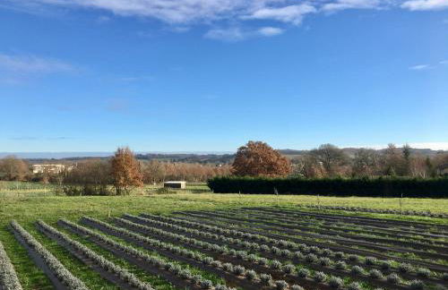 DOMAINE D'ELUSA - Photo 52