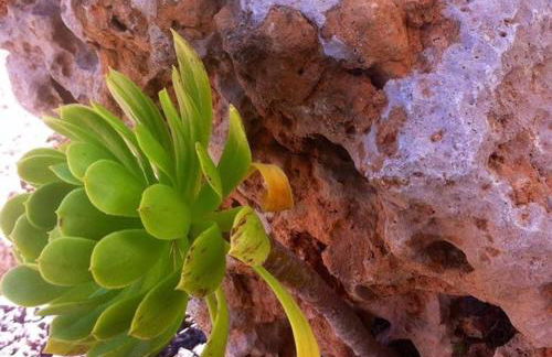 Vacaciones La Marina Costa Blanca - Foto 35