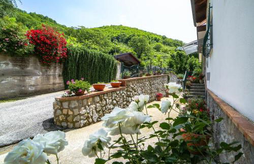 Tramonti di Sole - Foto 43