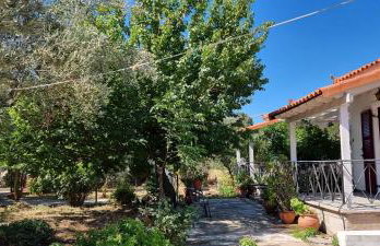 Residence Angeli - Photo 41