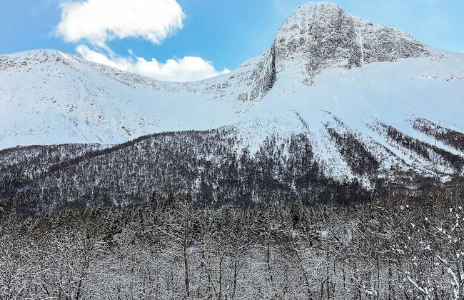 8 Person Holiday Home in Sæbø - Foto 27