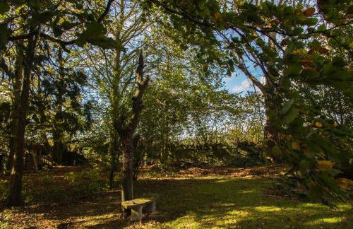 Calm Private Annex in Ashford - Foto 29