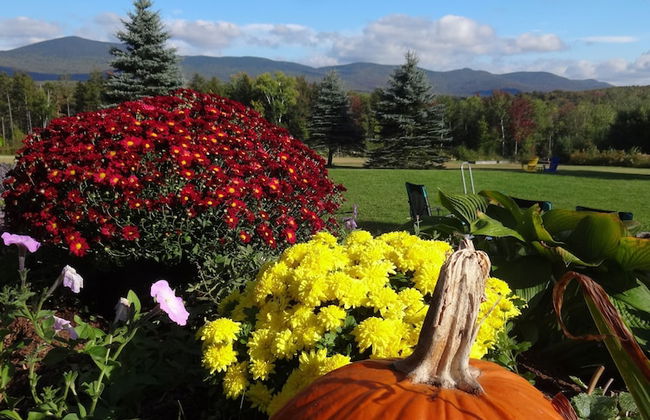 Robert Frost Mountain Cabins - Foto 62