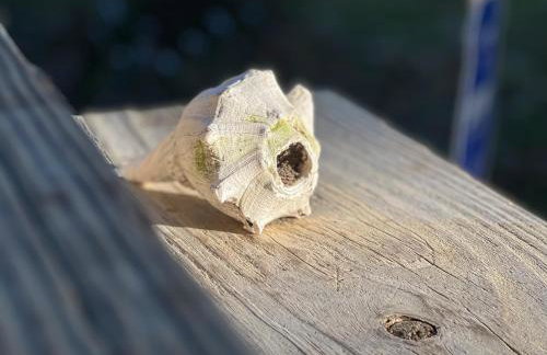 Cabana Madrid - Port Royal Luxury Rental Close Proximity to Parris Island and The Sands Beach - Foto 36