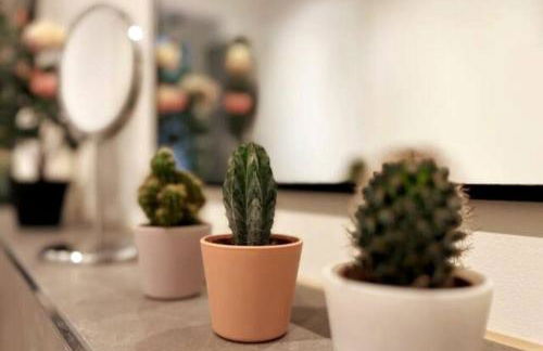 Soul-Apartment Terrasse Privat-Parkplatz Boxspringbett 55Zoll TV WLAN - Foto 27