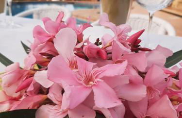 Cubo's Villa Ruiz - Foto 41