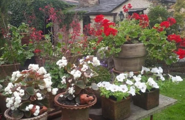 A Cortiña de Canalarrana - Foto 29