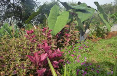 Villa Holística - Foto 72