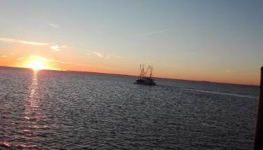 Ferienwohnung Kreider - Foto 4