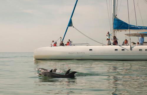 Villa Tommy - Foto 70