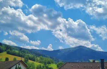 Am Sommerrain - Foto 33