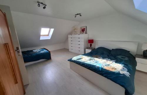 Gite de Guise, animaux bienvenus - Foto 4