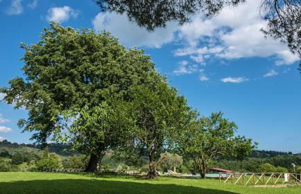 Az Agrituristica Bio Le Macchie Alte - Foto 9