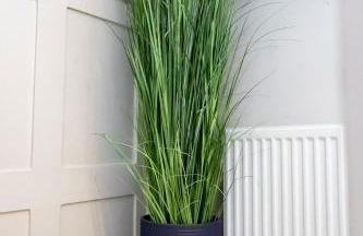 Haus of Mason - Photo 34