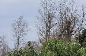 Appart95 Saint-Brice CDG France - Foto 48