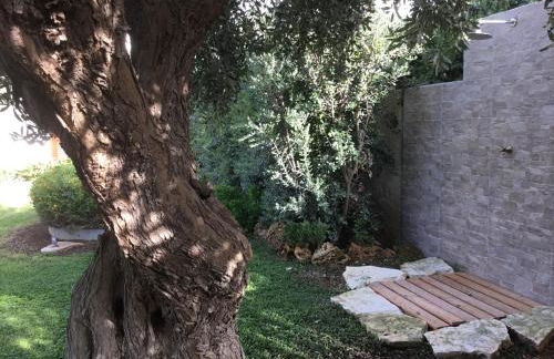 Birgi holiday home - Foto 25