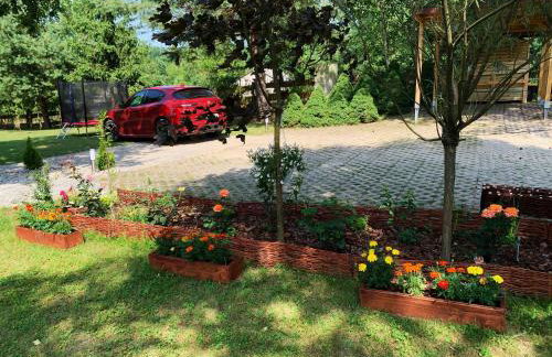 Dębowy Zakątek - Foto 26