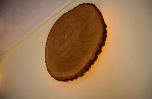 Starbase18 lda Ecotourism - Foto 13