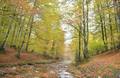 Casa Artegia - Foto 7