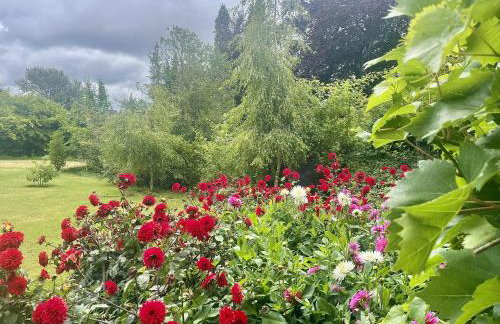 Welcome to Hazelwood, The Mount Somerton Apartment - modern and fully equipped, Private off-street parking, Near Glastonbury Tor, The spectacular Wells Cathedral, Stourhead, Sherborne Abbey, Millfield School, Clark's Village - Foto 14