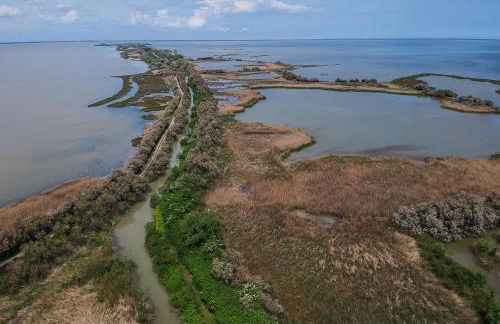 Pascoli 21/A - Foto 34