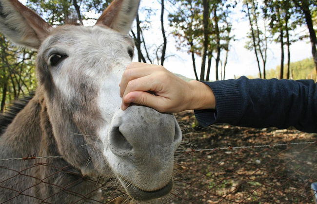 Country House in Tuscany With Panoramic Views - Foto 14