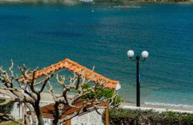 Golden Shellseaside - Foto 32