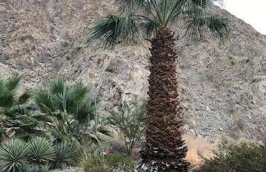 Peaceful Desert Retreat Mountain View Studio Condo Indian Wells - Foto 27