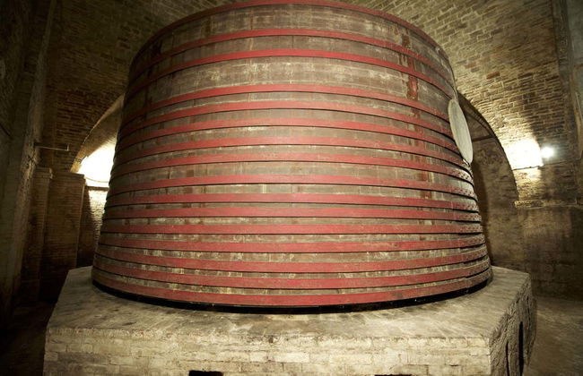 Visita à Cantina Mazzarosa - Foto 4