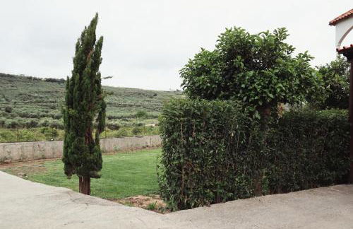 Villa Elea Apartments - Photo 39