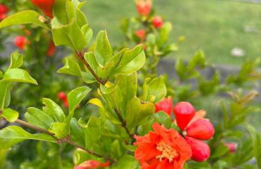 Aconchego e Tranquilidade - Photo 8