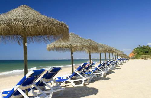 Sunny Lounge Apartment - Photo 29