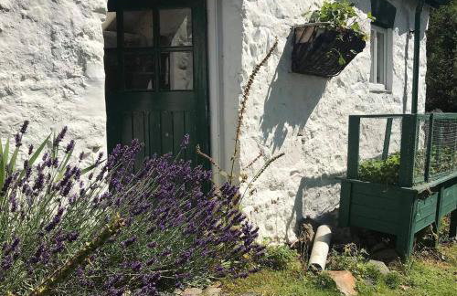 Hapus Yurt - Two Beautiful Yurts and Barn Cottage - Foto 1