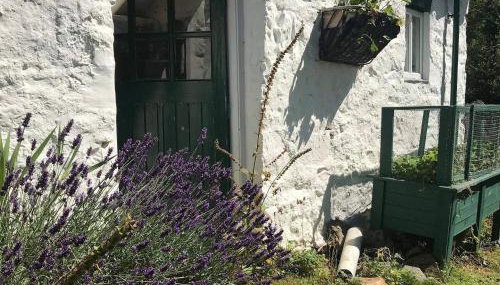 Hapus Yurt - Two Beautiful Yurts and Barn Cottage - Foto 1